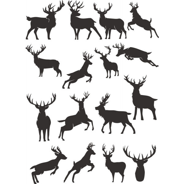 Majestátní Jelen Vektorové Ilustrace Svazek Majestátní Jelen Vektorové Ilustrace Svazek