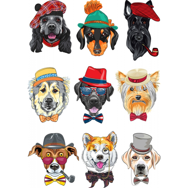 Suzdržavam Pas Portreta Vektor Clipart Postavio Suzdržavam Pas Portreta Vektor Clipart Postavio
