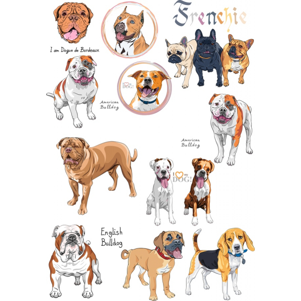 Vektorové Bulldogs Kolekce: Roztomilé Psí Plemeno, Ilustrace Vektorové Bulldogs Kolekce: Roztomilé Psí Plemeno, Ilustrace