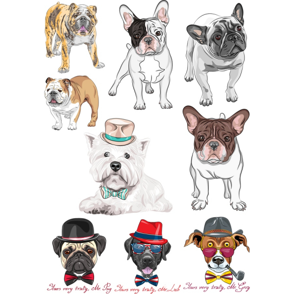 Es un Perro elegante Vector Cliparts Paquete Perfecto para los Amantes del Perro Es un Perro elegante Vector Cliparts Paquete Perfecto para los Amantes del Perro