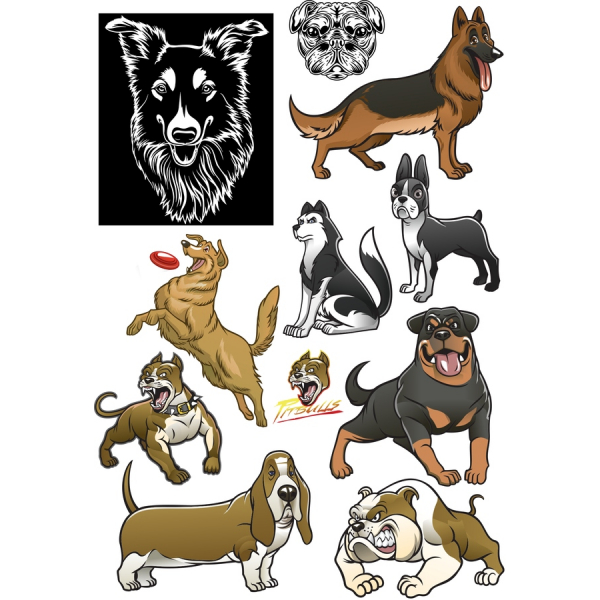 Hunderacen Vektor Clipart Sæt - Premium-SVG & PNG Illustrationer Hunderacen Vektor Clipart Sæt - Premium-SVG & PNG Illustrationer
