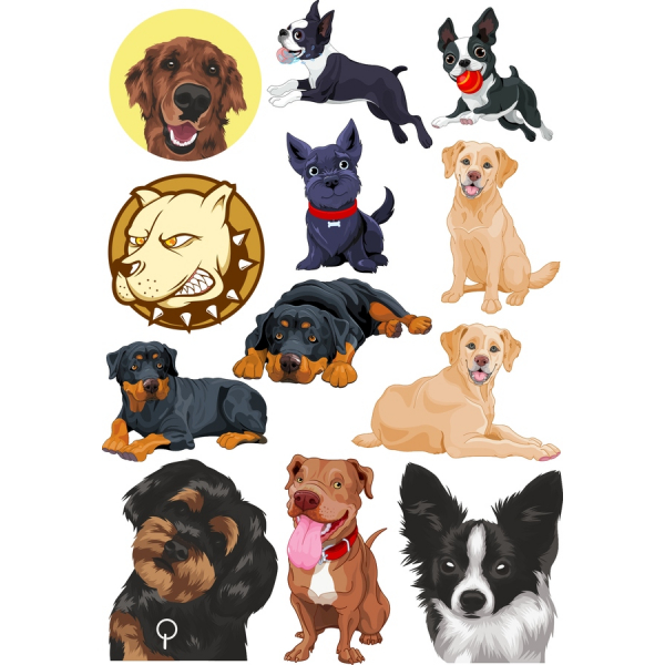 سگ Vector Clipart بسته نرم افزاری - حق بیمه SVG و PNG تصاویر سگ Vector Clipart بسته نرم افزاری - حق بیمه SVG و PNG تصاویر