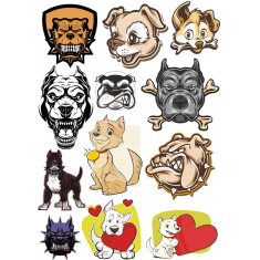 Premium Dog Bundle - Σύνολο