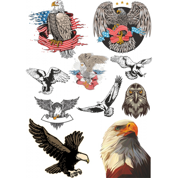 Majestátní Eagle Vektorové Ilustrace Svazek Majestátní Eagle Vektorové Ilustrace Svazek