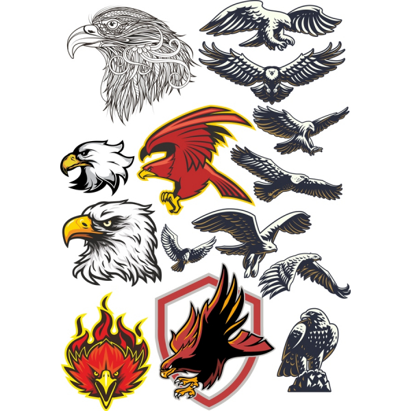 Wektor zestaw klipartów Eagle & Hawk - Ilustracja klasy Premium w formacie SVG i PNG Wektor zestaw klipartów Eagle & Hawk - Ilustracja klasy Premium w formacie SVG i PNG