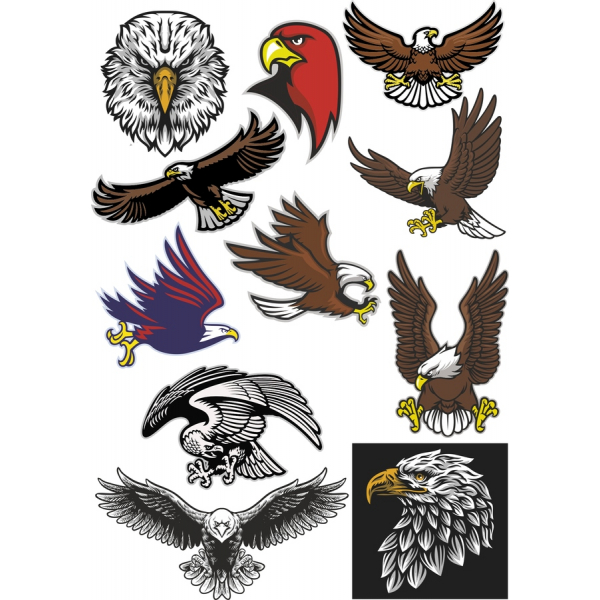 Eagle & Hawk Vektor Clipart Bundt Eagle & Hawk Vektor Clipart Bundt