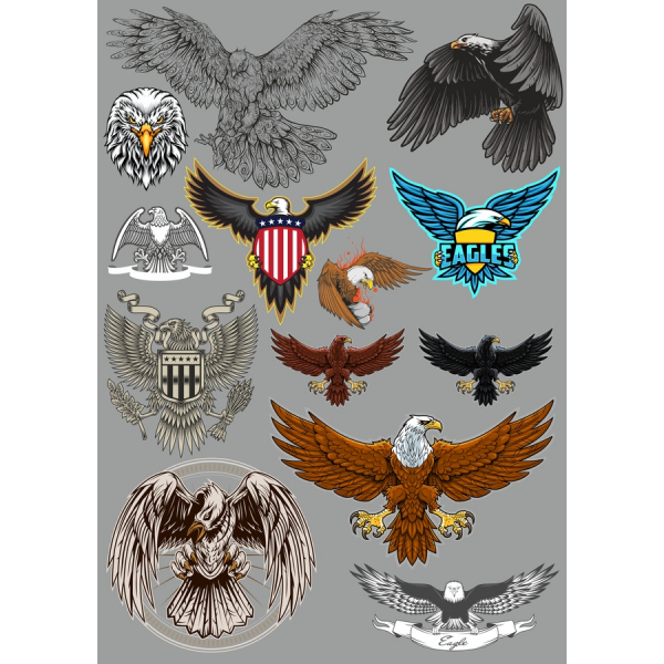 Eagle Vektor Clipart Sæt Eagle Vektor Clipart Sæt