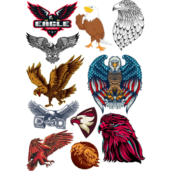 Orel Vektorové Kliparty Sady - Ohromující Eagle Ilustrace Orel Vektorové Kliparty Sady - Ohromující Eagle Ilustrace