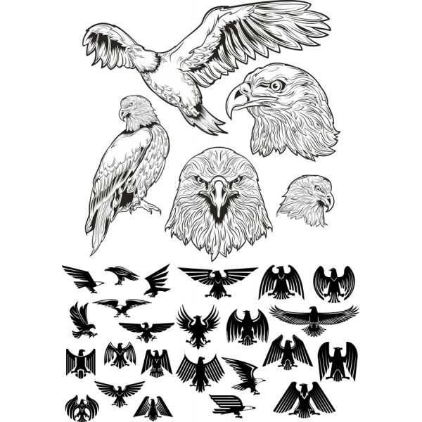 Tai Vector Clipart Kifungu - Stunning FAILI & PNG Vielelezo Tai Vector Clipart Kifungu - Stunning FAILI & PNG Vielelezo
