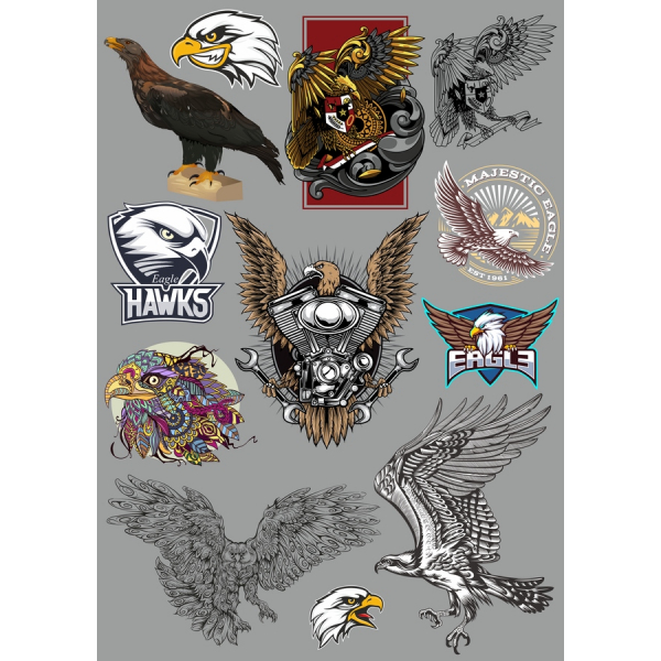 เว็กเตออินทรี Illustrations-Majestic Clipart สวมเสื้อกันหนาวได้ เว็กเตออินทรี Illustrations-Majestic Clipart สวมเสื้อกันหนาวได้