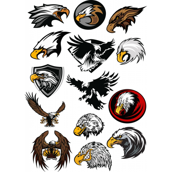อินทรีเว็กเตอ Clipart ตั้งค่า อินทรีเว็กเตอ Clipart ตั้งค่า