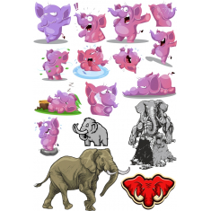 Elephant Bundle - Cute &amp; Majestic