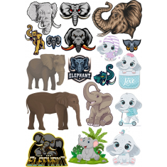 Elephant Bundle