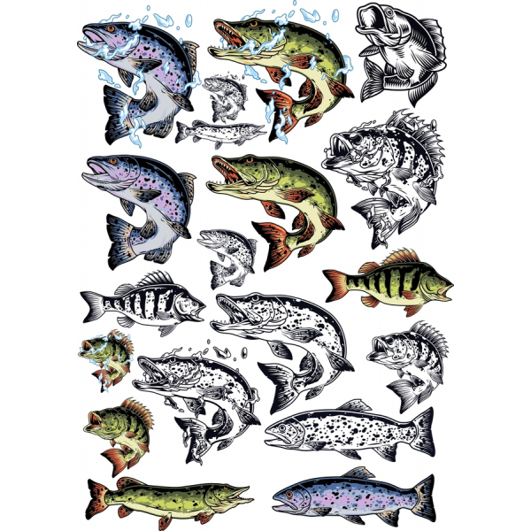 Vector Fish Clipart Bundle - Stunning SVG Designs Vector Fish Clipart Bundle - Stunning SVG Designs