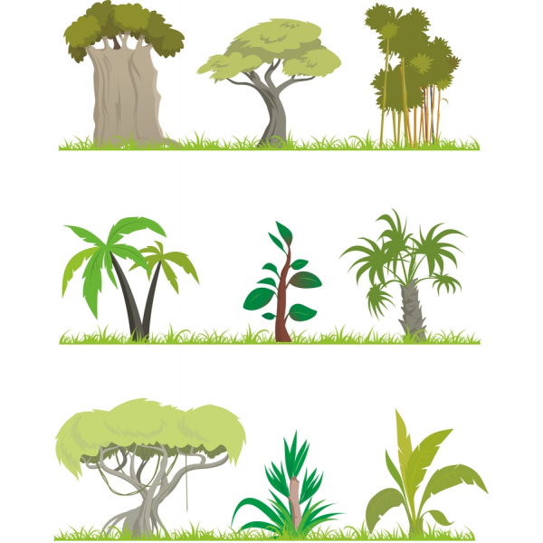 Planta Tropical Vector De Imágenes Prediseñadas Conjunto Planta Tropical Vector De Imágenes Prediseñadas Conjunto