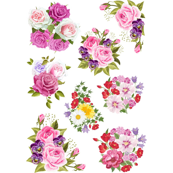 Elegant Florale Vector Ilustrații Pachet Elegant Florale Vector Ilustrații Pachet