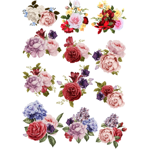 Floral Vektor-Clipart-Bundle - Eleganter Blumen-Illustrationen