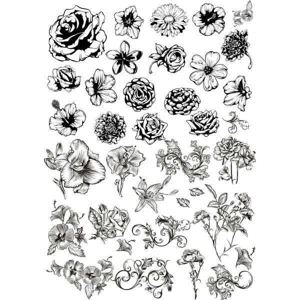 Floreale Clipart Vector Set Disegnati A Mano Illustrazioni Floreale Clipart Vector Set Disegnati A Mano Illustrazioni