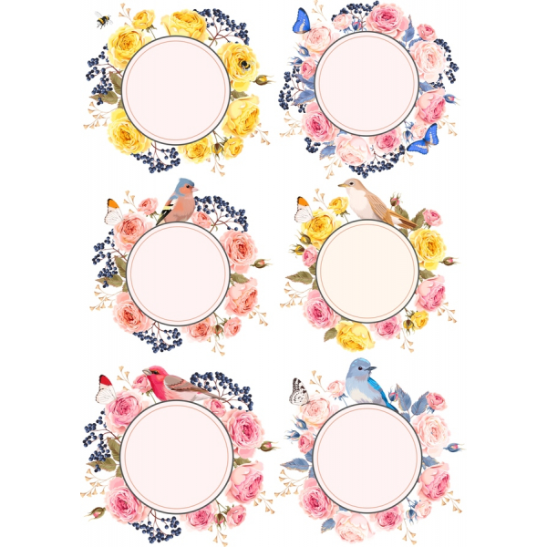Květinové Vektor Klipart Set - Elegantní SVG Ilustrací