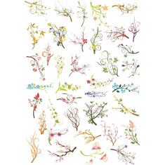 Blommig Bundle - 40+ Unika