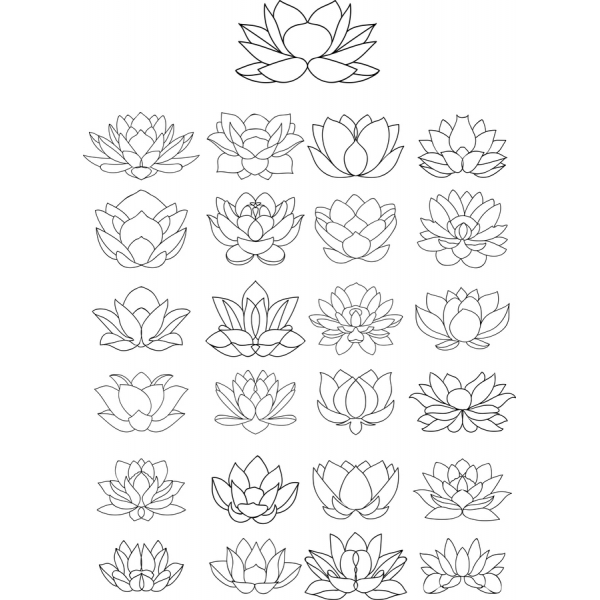 Fiore Di Loto Clipart Vector Set Fiore Di Loto Clipart Vector Set