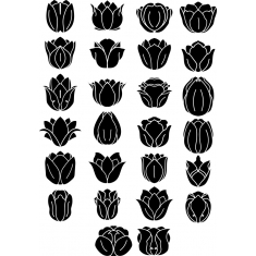 Tulip Bundle