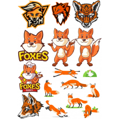 Fox Pilte Set - Jumalik &amp; Vallatu
