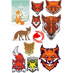 Fox Kogumine - Premium Pilte Liit