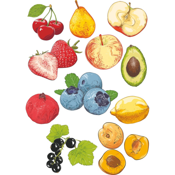 Fruit Vector Clipart تنظیم - پر جنب و جوش دست کشیده تصاویر Fruit Vector Clipart تنظیم - پر جنب و جوش دست کشیده تصاویر