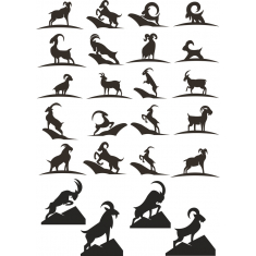 Goat Collection - Dynamics