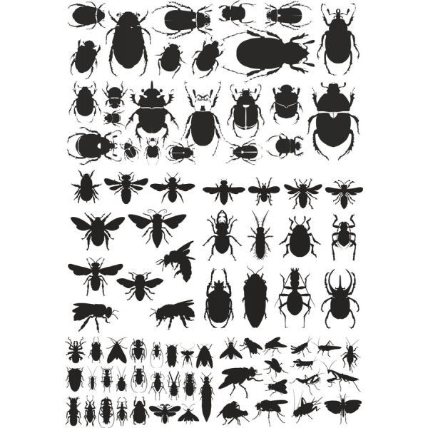 همه کاره حشرات Vector Clipart بسته نرم افزاری - SVG و PNG همه کاره حشرات Vector Clipart بسته نرم افزاری - SVG و PNG