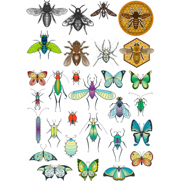 Insecto Vector de imágenes Prediseñadas Bundle | Impresionante SVG & PNG Ilustraciones Insecto Vector de imágenes Prediseñadas Bundle | Impresionante SVG & PNG Ilustraciones