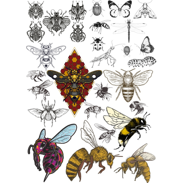 แม้แต่งานบี้แมลงวัเว็กเตอ Clipart สวมเสื้อกันหนาวได้-สูงคุณภาพ Illustrations