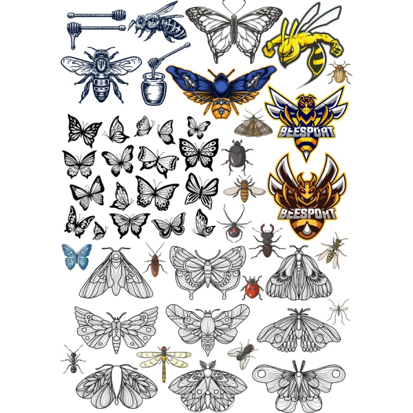 Insect and Butterfly Vector Clipart Bundle - SVG & PNG Files Insect and Butterfly Vector Clipart Bundle - SVG & PNG Files