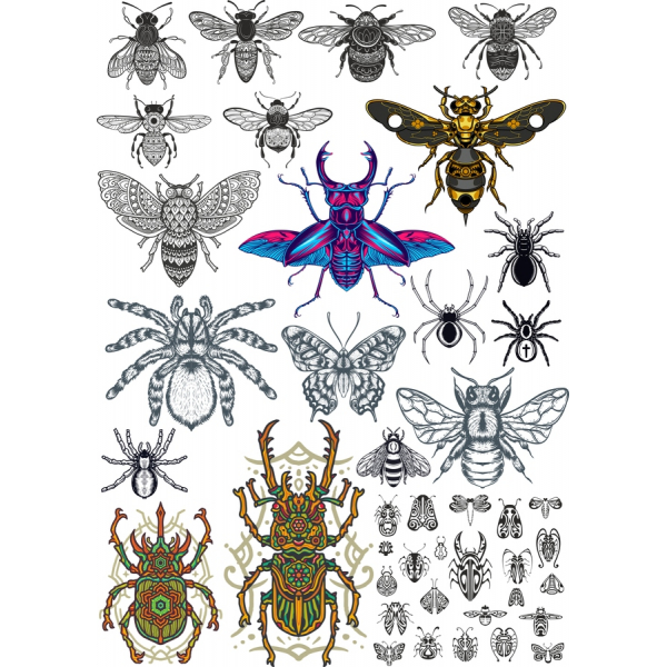 Insect Vector Clipart Bundle - High-Quality SVG & PNG Files Insect Vector Clipart Bundle - High-Quality SVG & PNG Files
