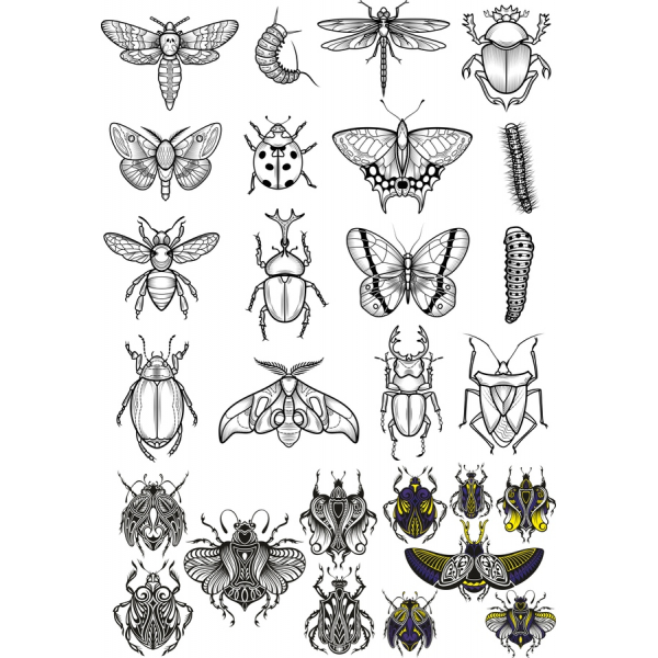 Insetti Vettori Di Raccolta Clipart Di Alta Qualità Insieme Insetti Vettori Di Raccolta Clipart Di Alta Qualità Insieme