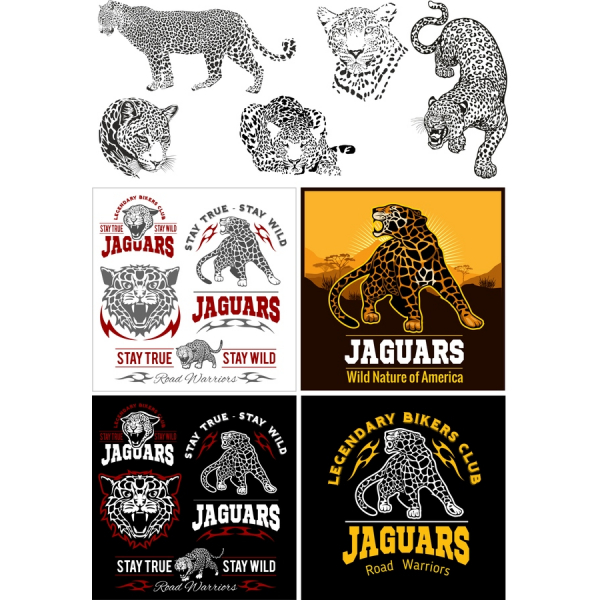 Fantastisk Jaguar Vektor Illustrationer Sæt Fantastisk Jaguar Vektor Illustrationer Sæt