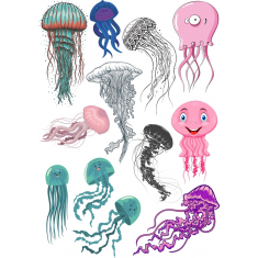Jellyfish Clipart Collection