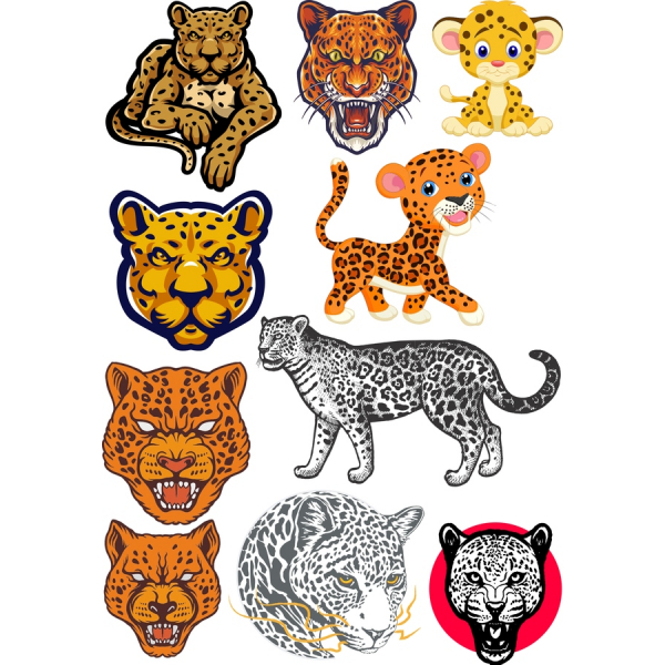 Leopard Ilustrações Vetoriais Clipart Bundle Leopard Ilustrações Vetoriais Clipart Bundle