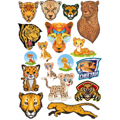 Çita ve Leopar Seti