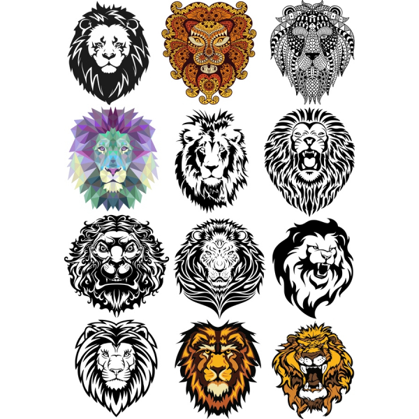 Majestic Lion Vector Illustrations Bundle Majestic Lion Vector Illustrations Bundle