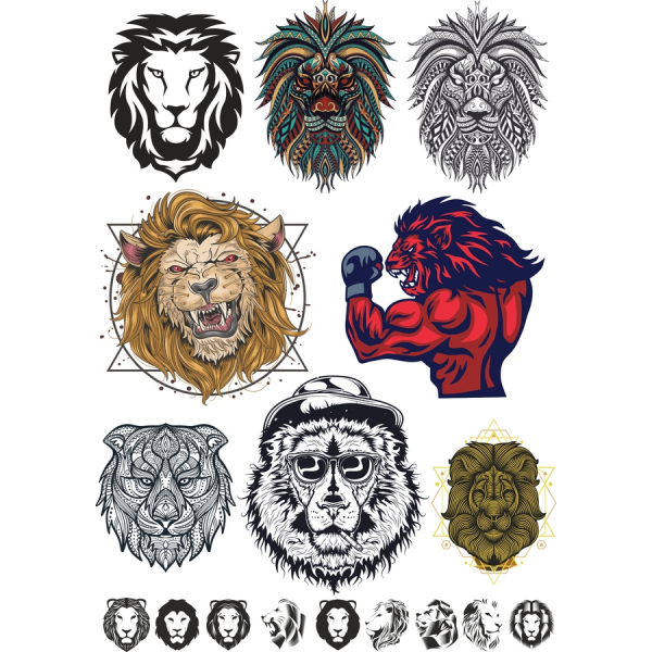 Löwen-Vektor-Illustrationen-Bundle - Wilden und Majestätischen Designs Löwen-Vektor-Illustrationen-Bundle - Wilden und Majestätischen Designs