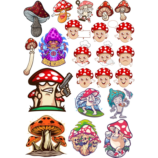 Magic Mushroom Pilte Liit