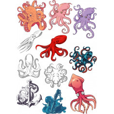 Dəsti Ahtapot və squid