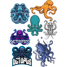 Kolleksiya Octopus - Kit