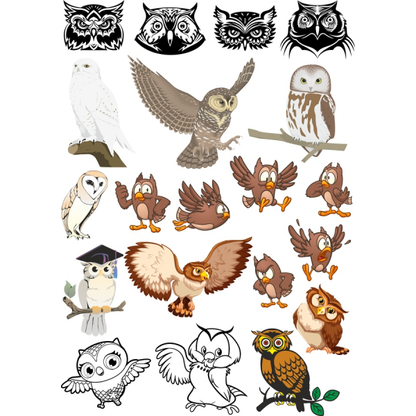 Sova SVG a PNG Kliparty Bundle Sova SVG a PNG Kliparty Bundle