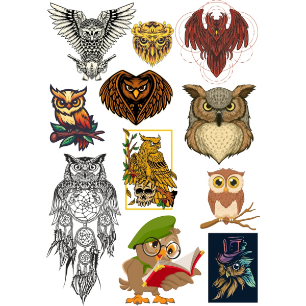 Owl Vector Clipart Bundle - Enchanting Illustrations for Every Project Owl Vector Clipart Bundle - Enchanting Illustrations for Every Project