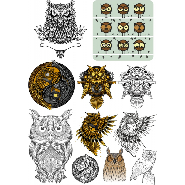 Coruja de Clipart de Vetor Set - Premium SVG & PNG Ilustrações Coruja de Clipart de Vetor Set - Premium SVG & PNG Ilustrações