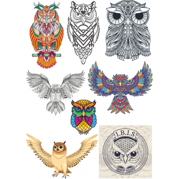 ฮูเว็กเตอ Clipart สวมเสื้อกันหนาวได้-Vibrant SVG&PNG Illustrations ฮูเว็กเตอ Clipart สวมเสื้อกันหนาวได้-Vibrant SVG&PNG Illustrations