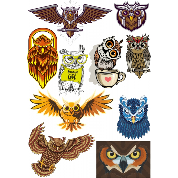 ふくろうベクトルClipart設定-高品質SVG&PNGイラスト ふくろうベクトルClipart設定-高品質SVG&PNGイラスト